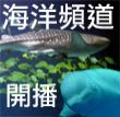 這是屏東的海洋生物博物館